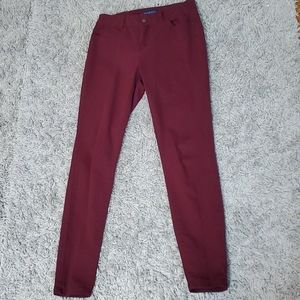 Blue Spice Burgandy Pants